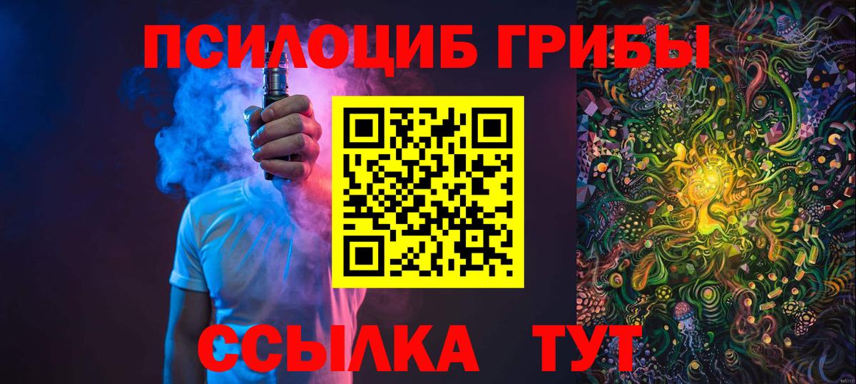 Псилоцибиновые грибы мицелий Череповец