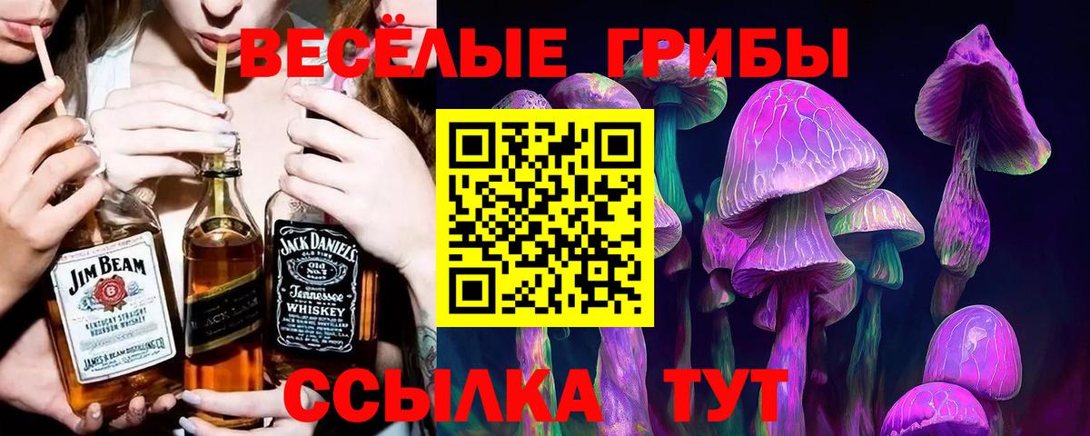 Псилоцибиновые грибы MAGIC MUSHROOMS  Галлюциногенные грибы MAGIC MUSHROOMS  Вход с VPN  Череповец 
